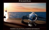 PANERAI COLLECTION